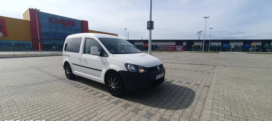 Volkswagen Caddy cena 42900 przebieg: 207900, rok produkcji 2014 z Koszalin małe 781